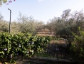 Villas de luxe à vendre à Israel.